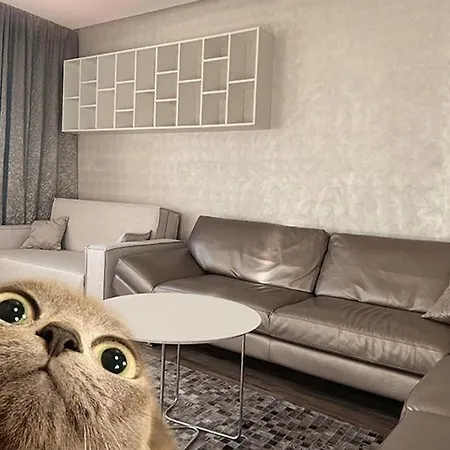 Luxury Lifestyle In アパート *
